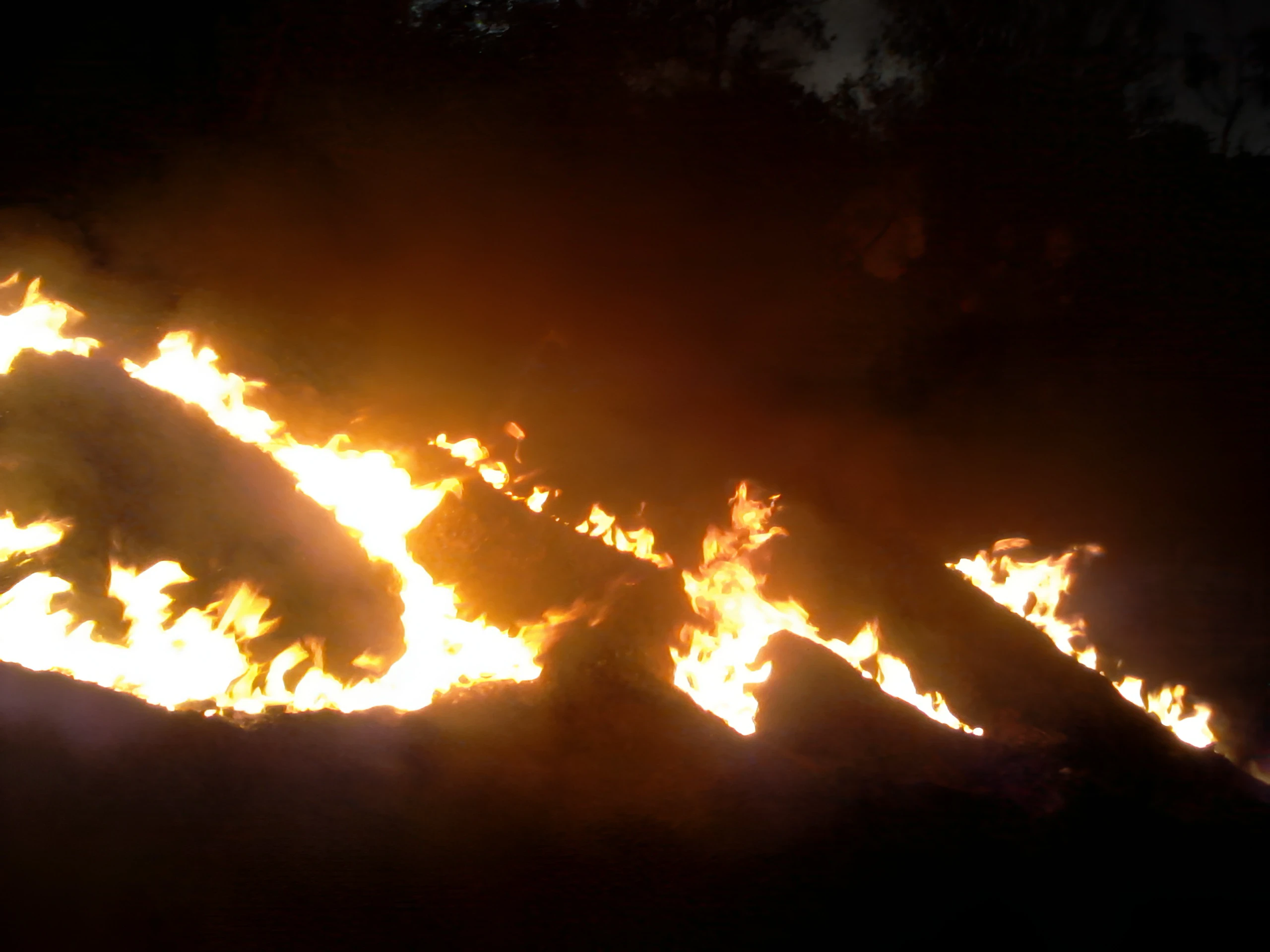 Το Κάψιμο του ΟΧΙ